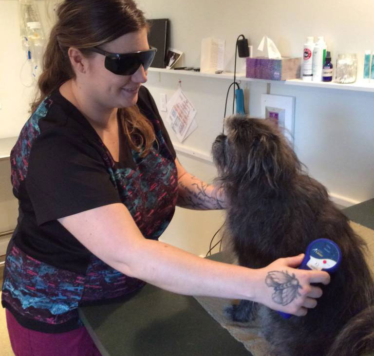 We now offer Super Pulsed Pet Lasers